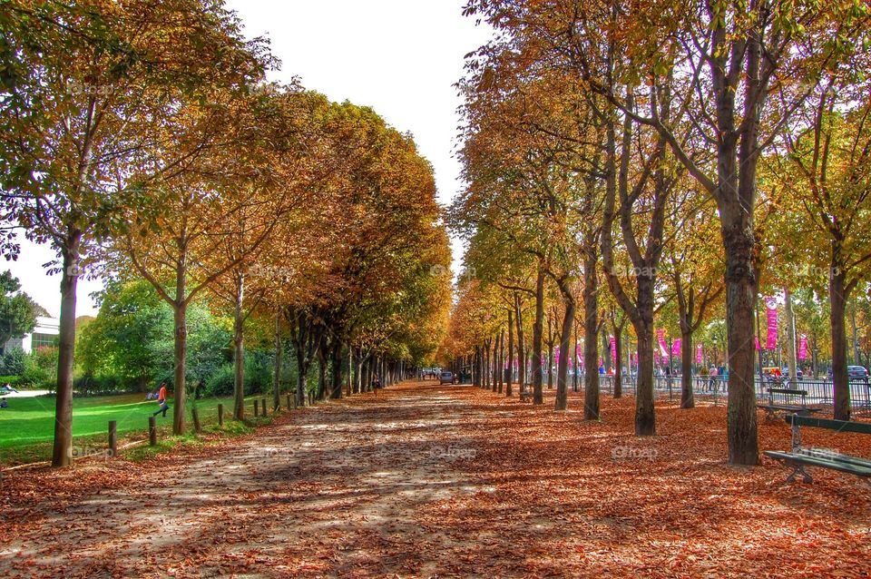 Autumn on the Champs-Élysées . A photo from a fall day on the Champs-Élysées in Paris