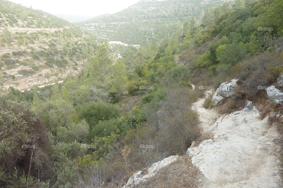 Judea Hills Near Jerusalem