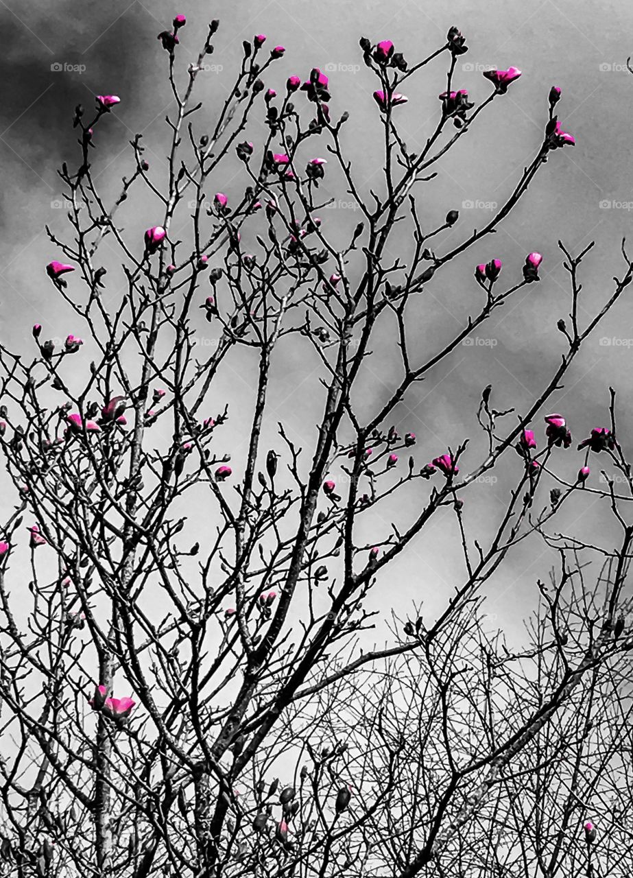 Brightness in a Dark World 