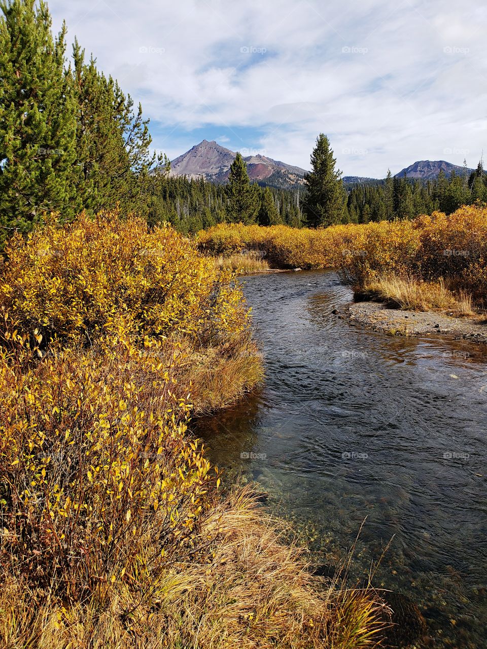 The beautiful Soda Creek in the mountains of Oregon with banks covered in golden fall foliage with the South Sister towering in the background. 