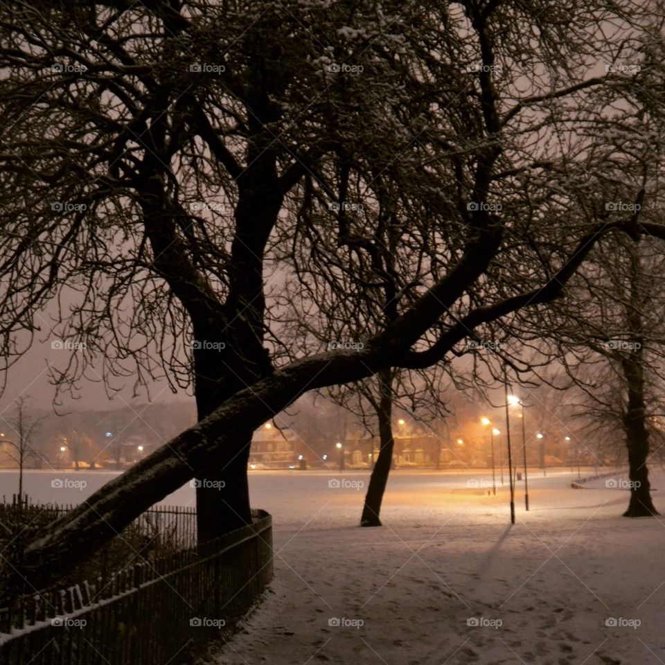 Winter, Hillsborough Park. Sheffield 