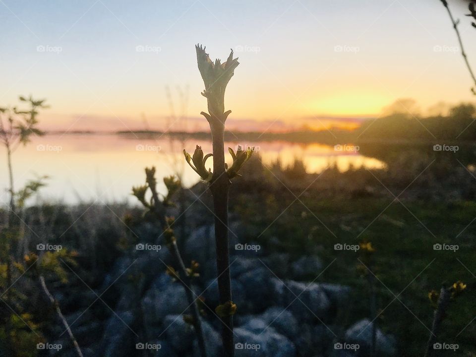 Gorgeous night in this small town beach area with sun setting below the horizon. 