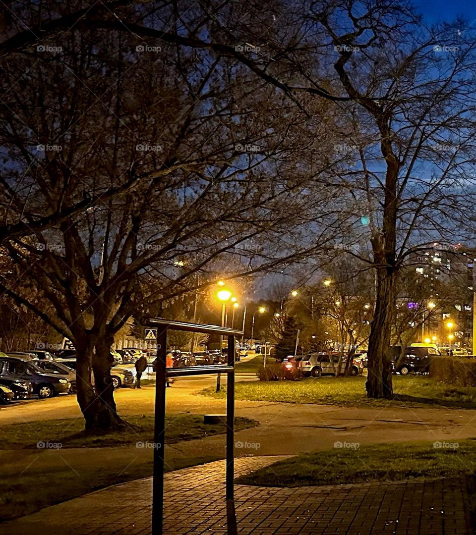 view at night