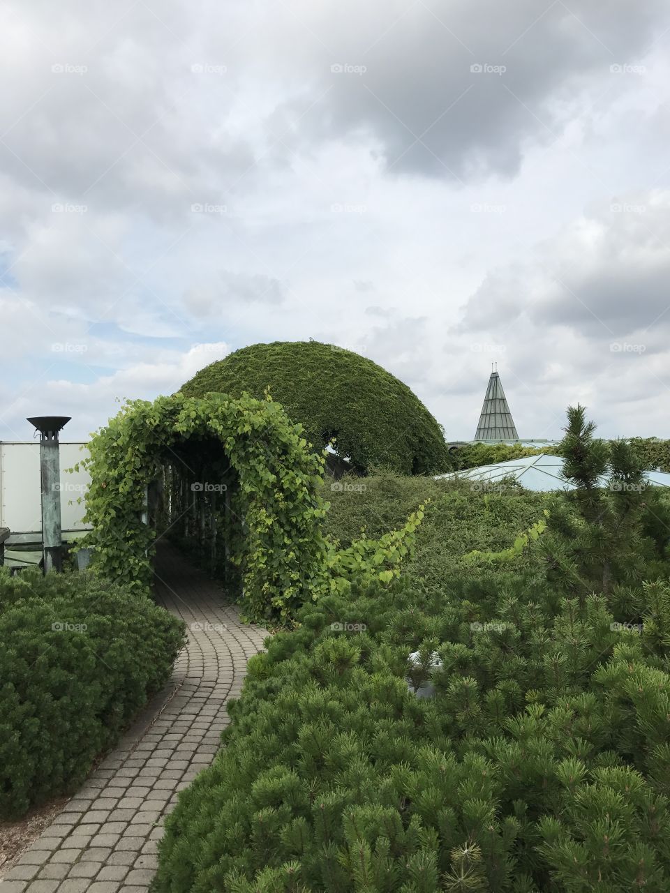 Roof of the Warsaw university library 