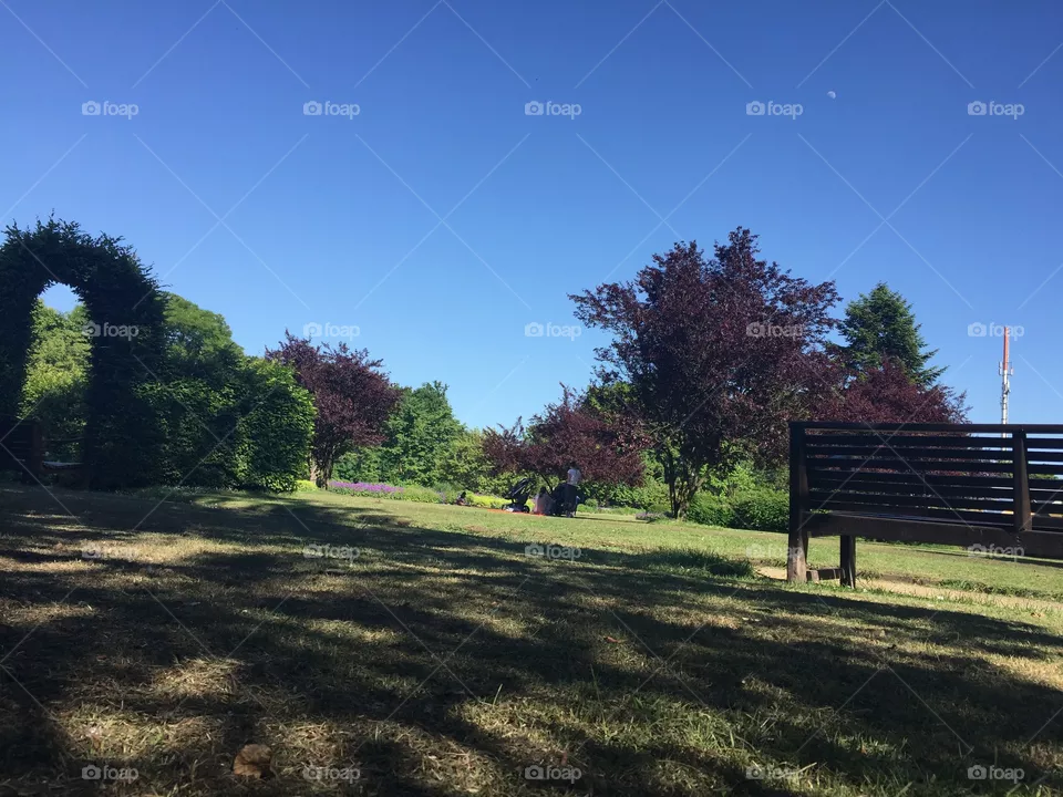 Park