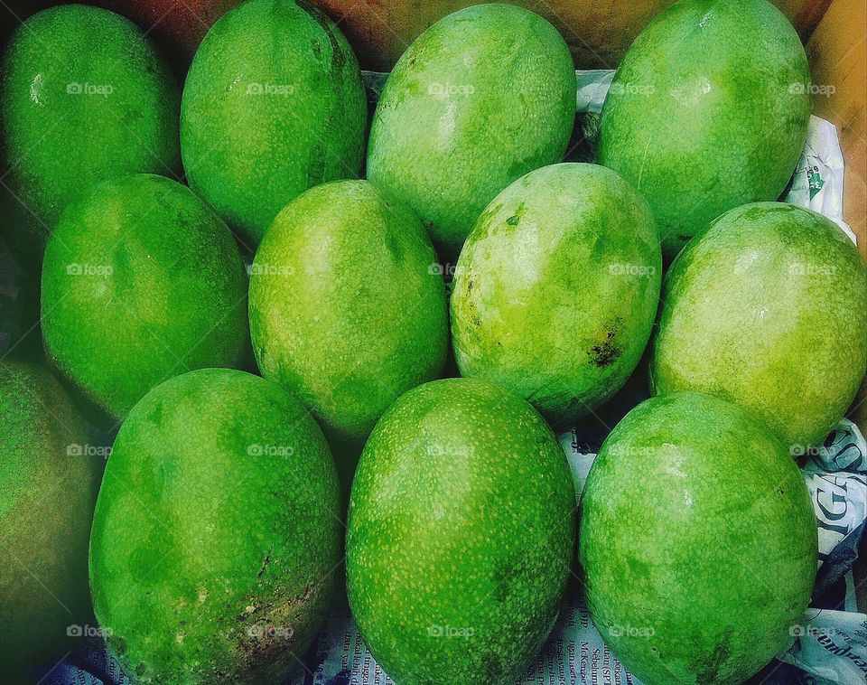 Freshly harvested mangoes