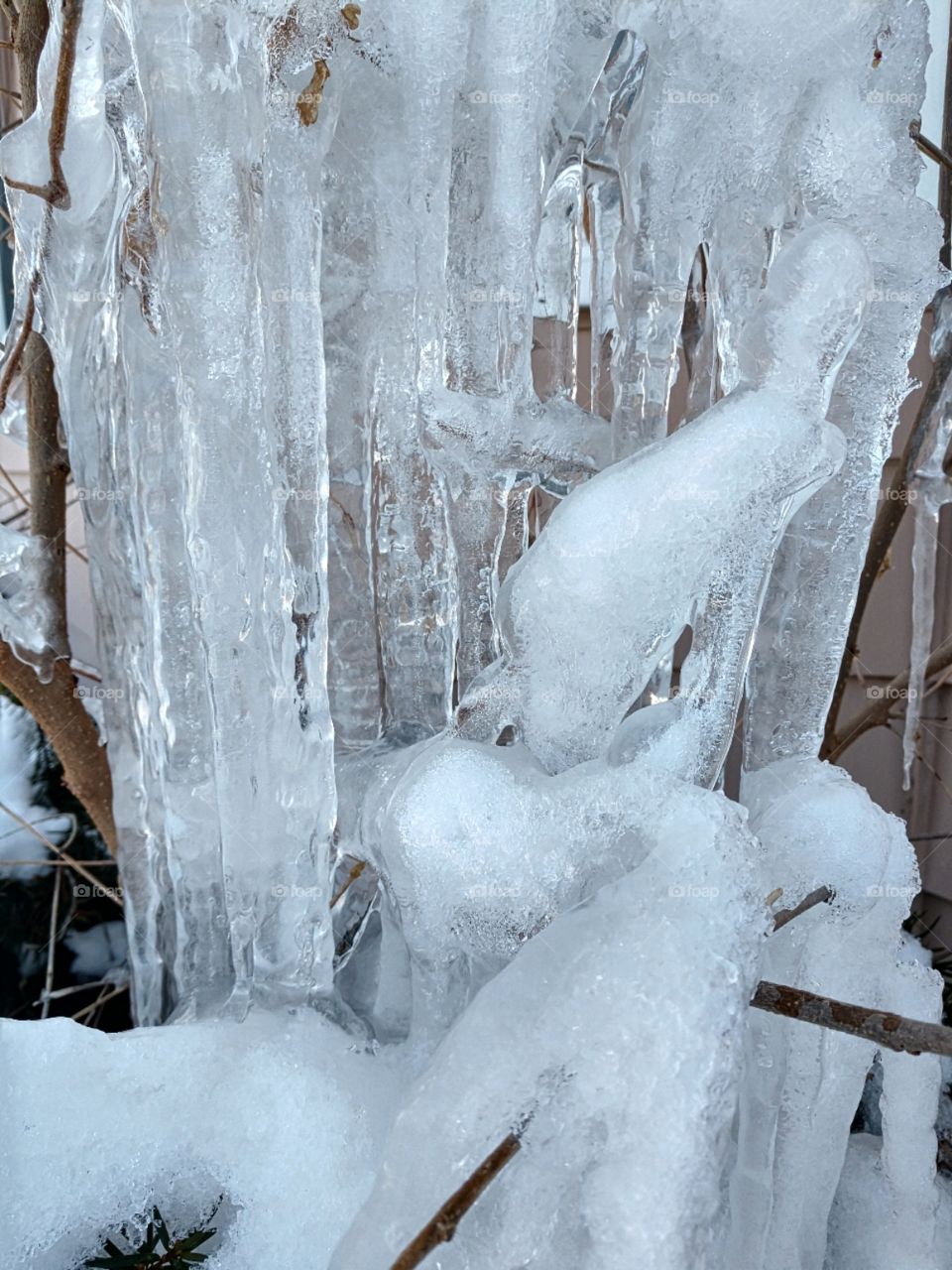 Cold Michigan February