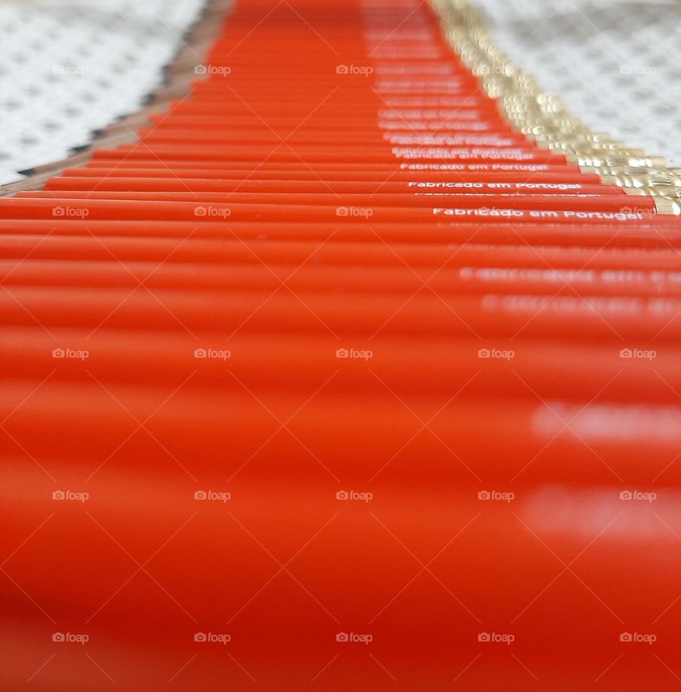 Multiverse in perspective