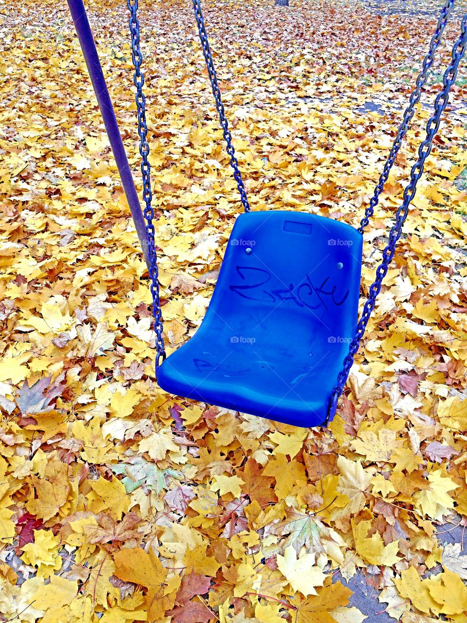 swing in autumn fall