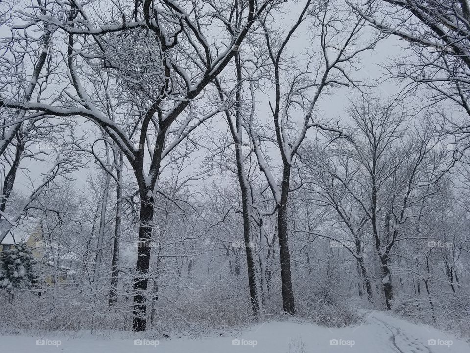 First snowfall of 2016