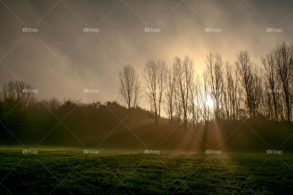 A beautiful morning in the park with a little bit fog and sun rays