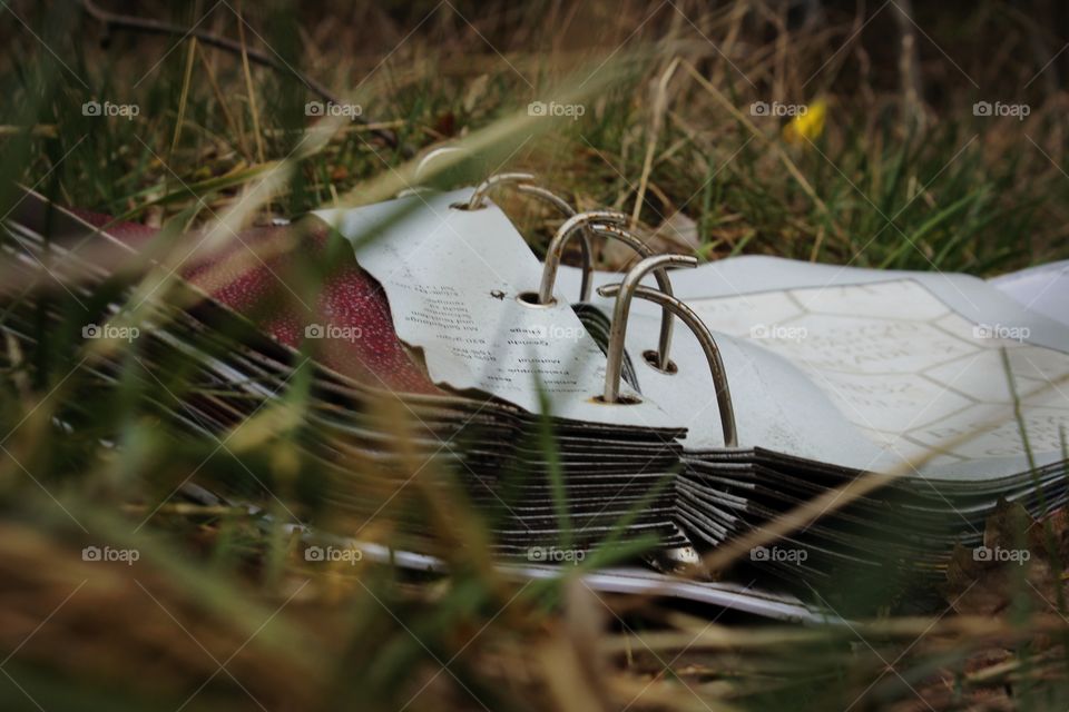 book in the grass