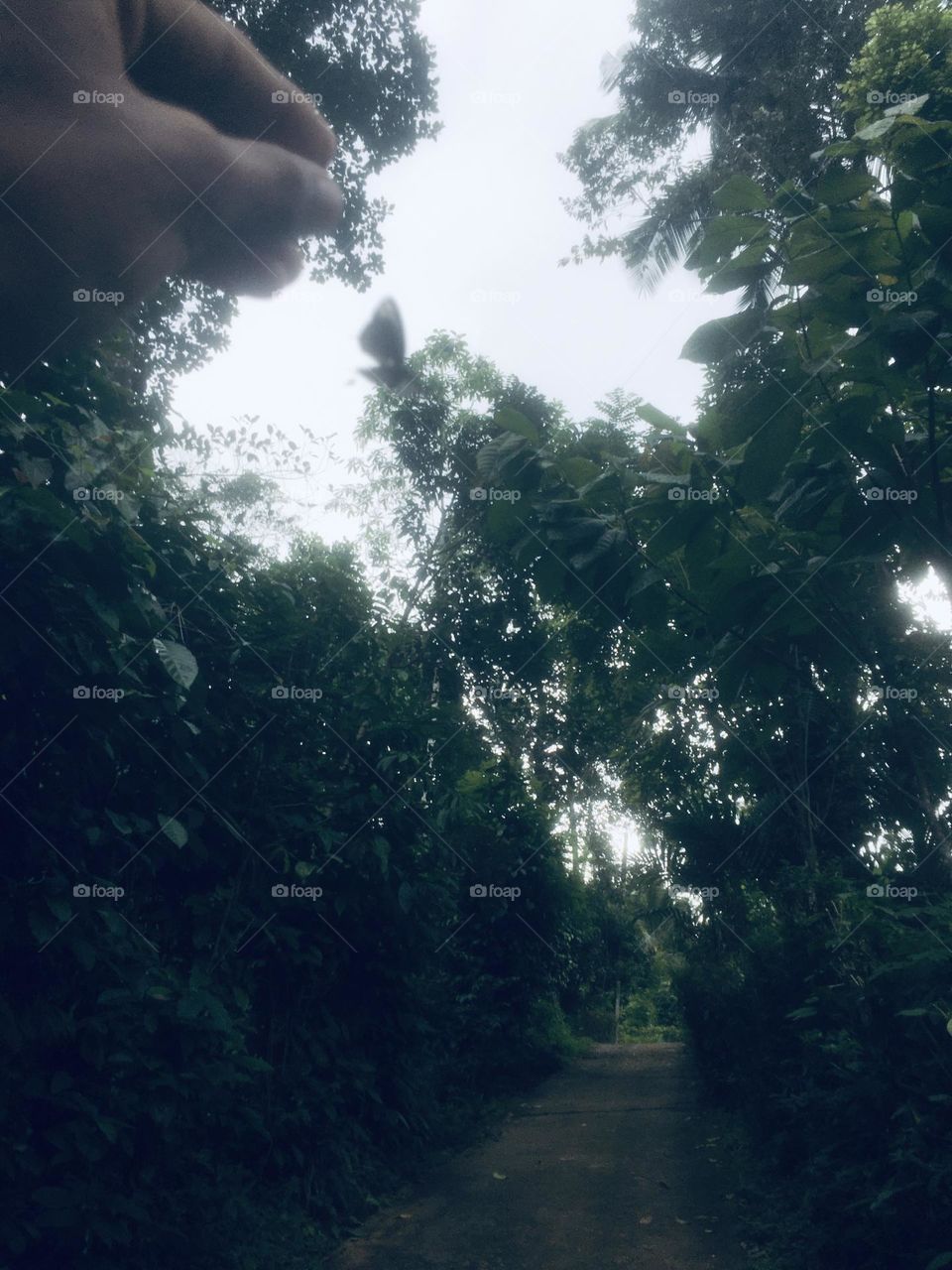 Animals , 🦋Butterfly