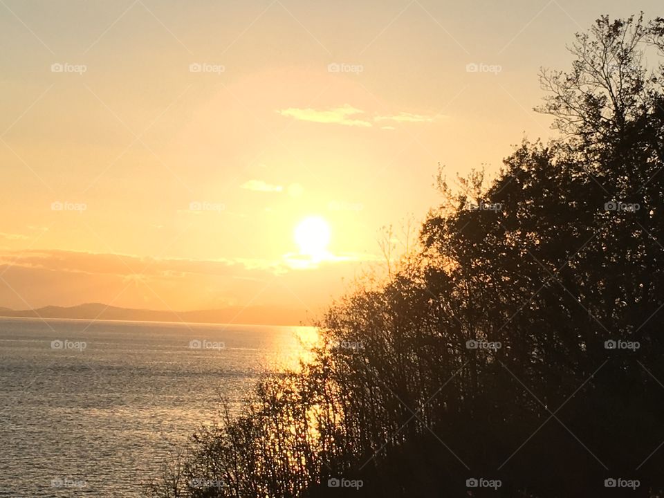 Backlit on a tree fenced coastline 