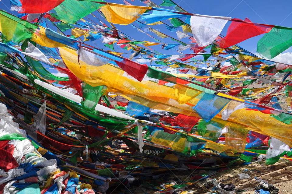 Tibetan flags