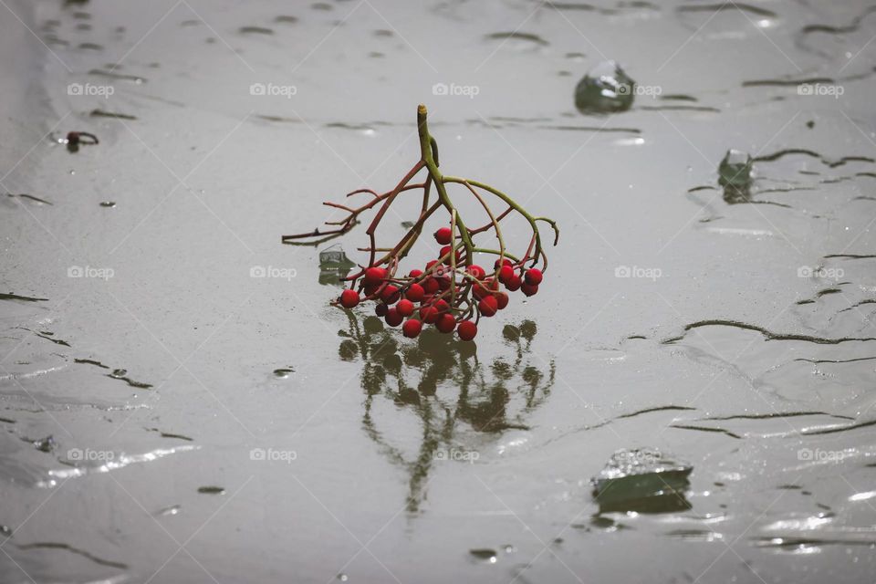 结冰的湖面