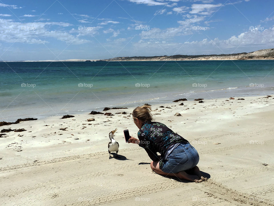 Setting up for a FOAP shot with Iphone 6plus on remote beach in southern Australia, here photographing extremely close up a wild Cormorant. Extremely rare to get this close to these birds, especially healthy wild and free! Took over an hour for me to crawl up to it for the shots. Please view my album (ettadallas) in coming days for the closeup shots of this magnificent untamed creature! 