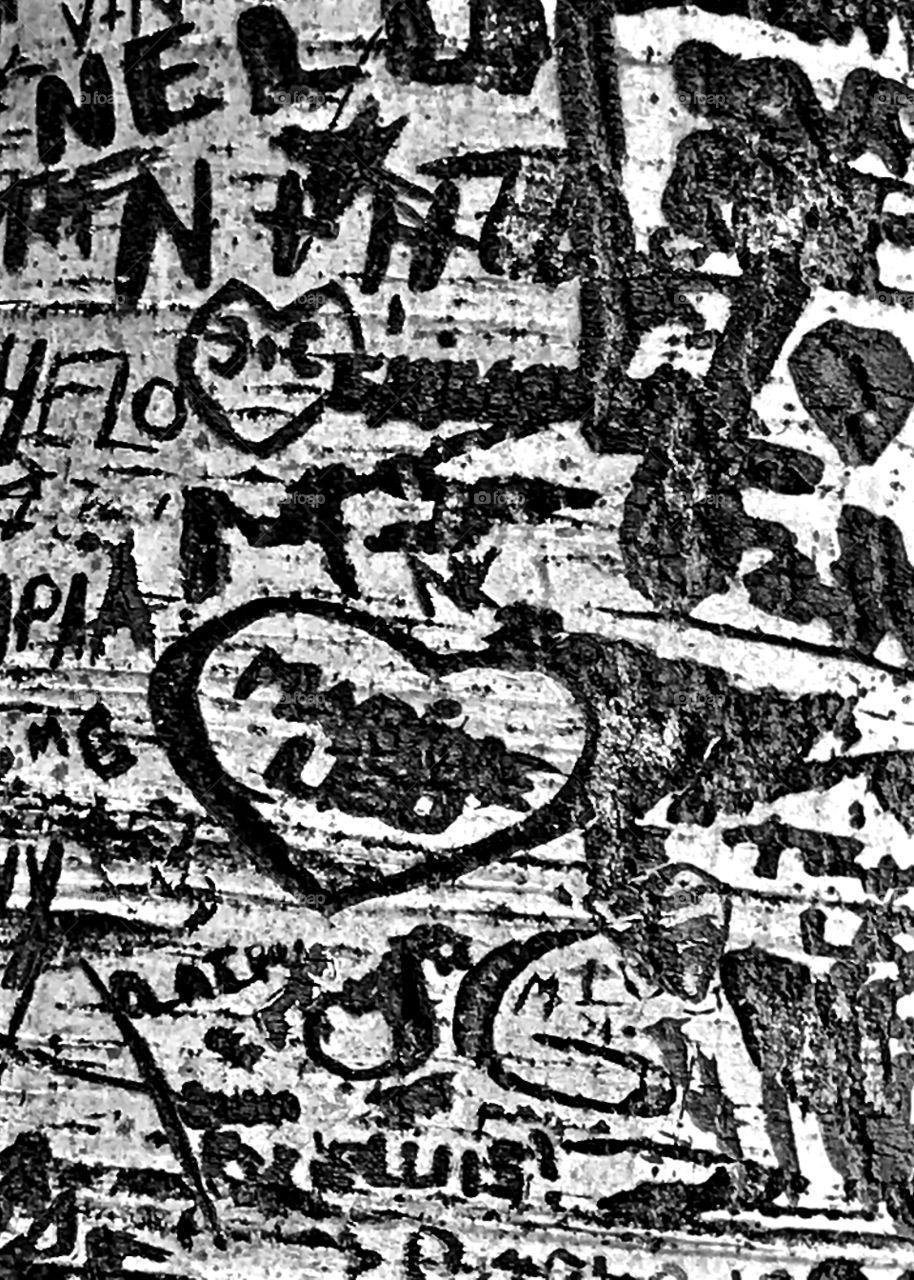 Tree’s graffiti Paris