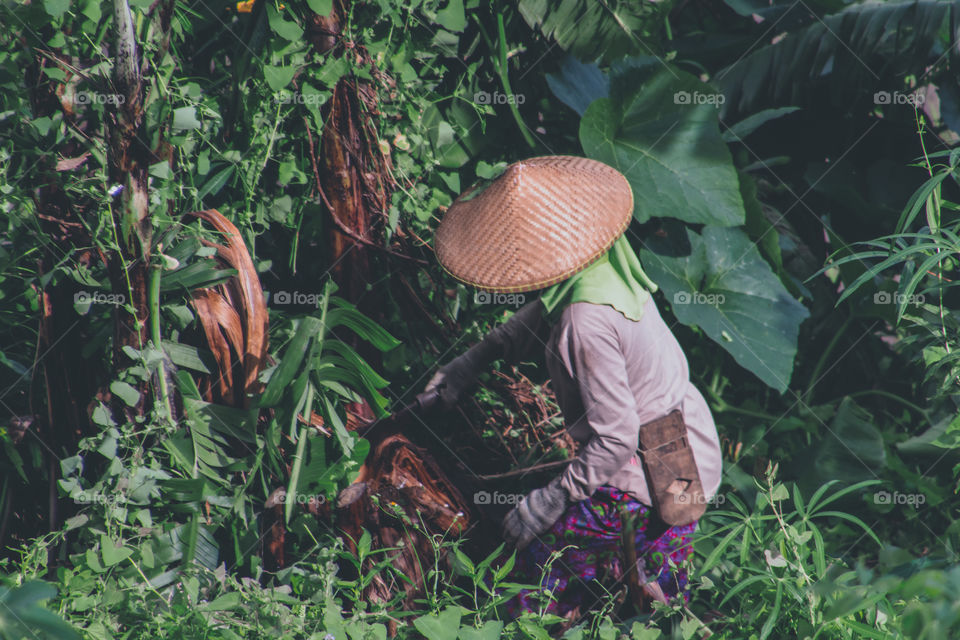 A farmer with traditional straw hat is working on a field