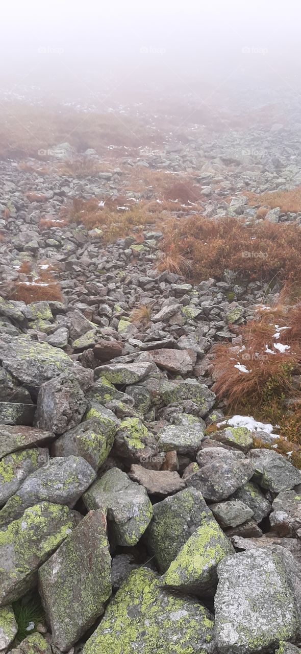 rocks and grass in autumn in the mountains