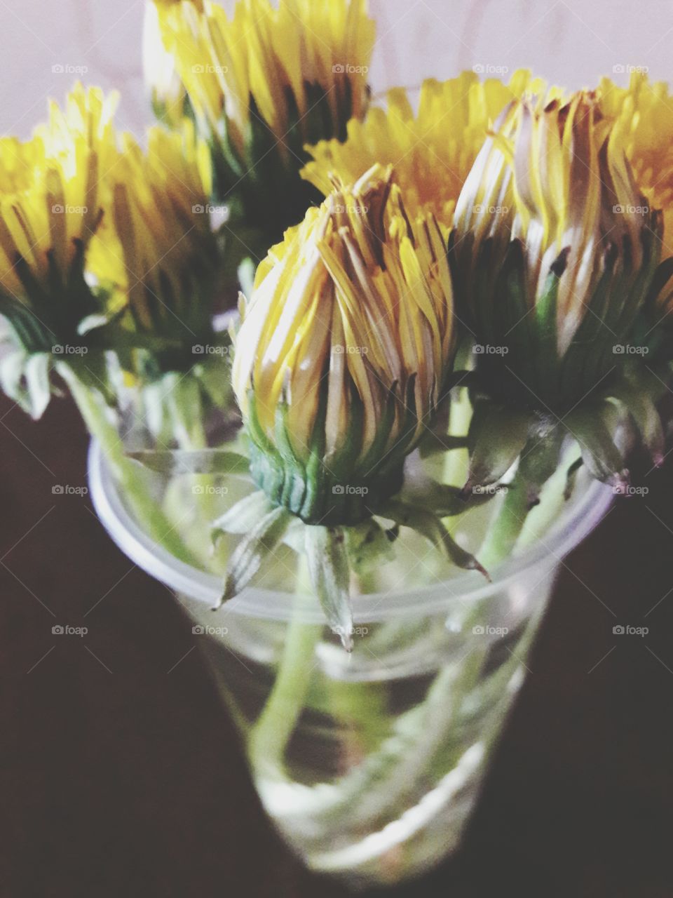 perfect imperfections