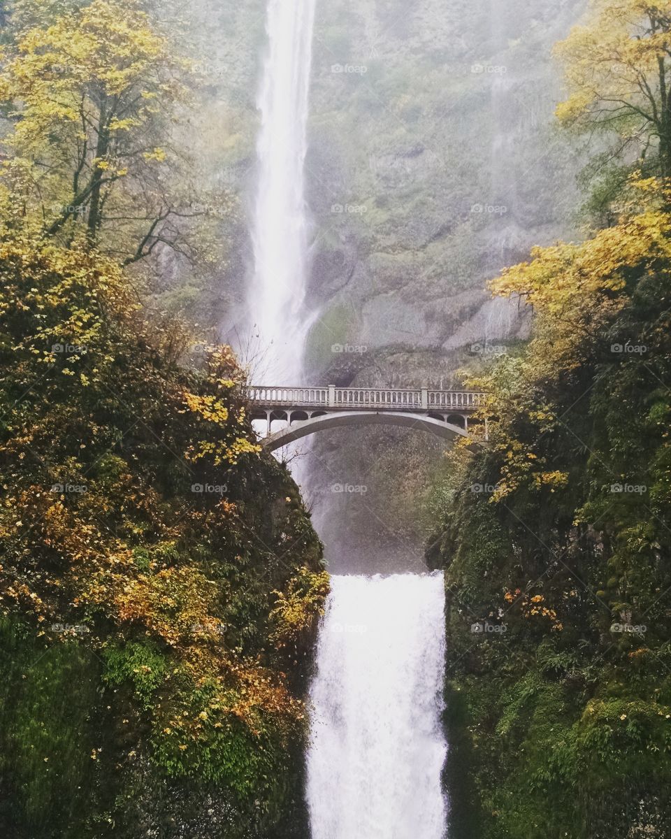 Multnomah Falls