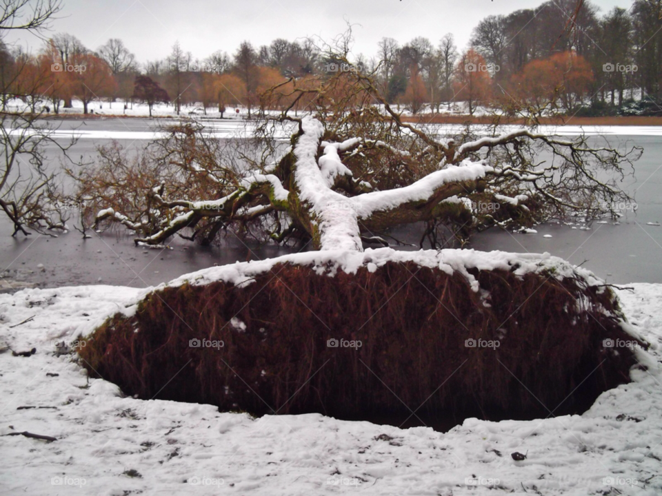 snow winter trees lake by tommygirl-uk