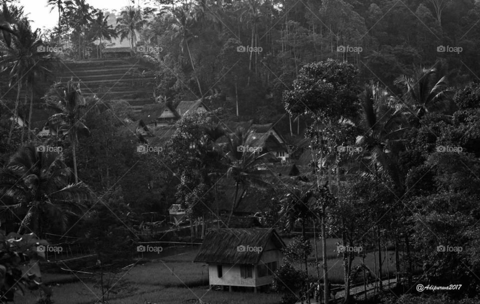 kampung naga