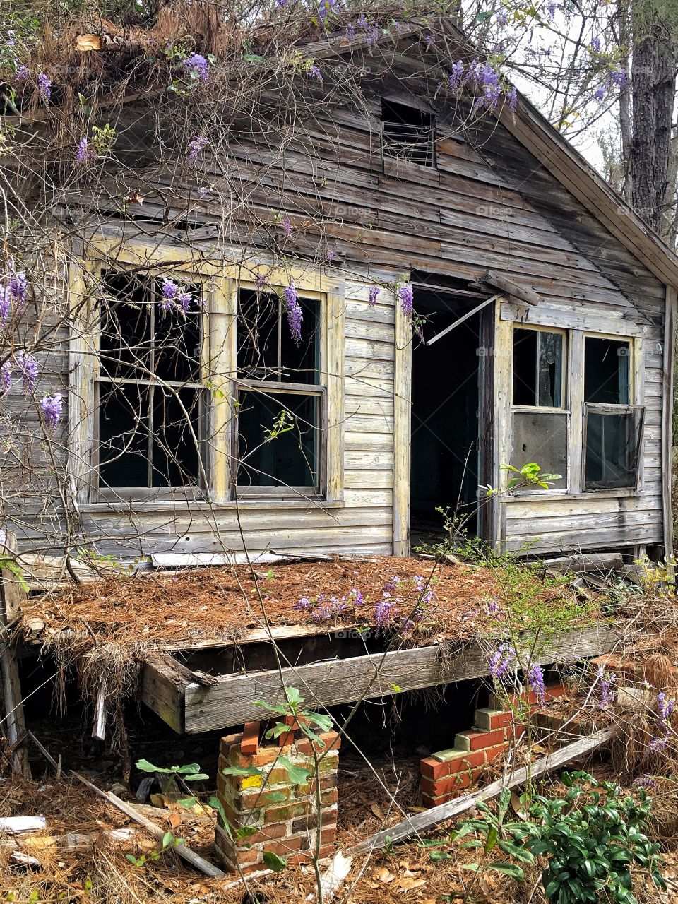 Abandoned home