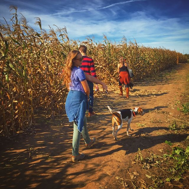 Friends & corn 