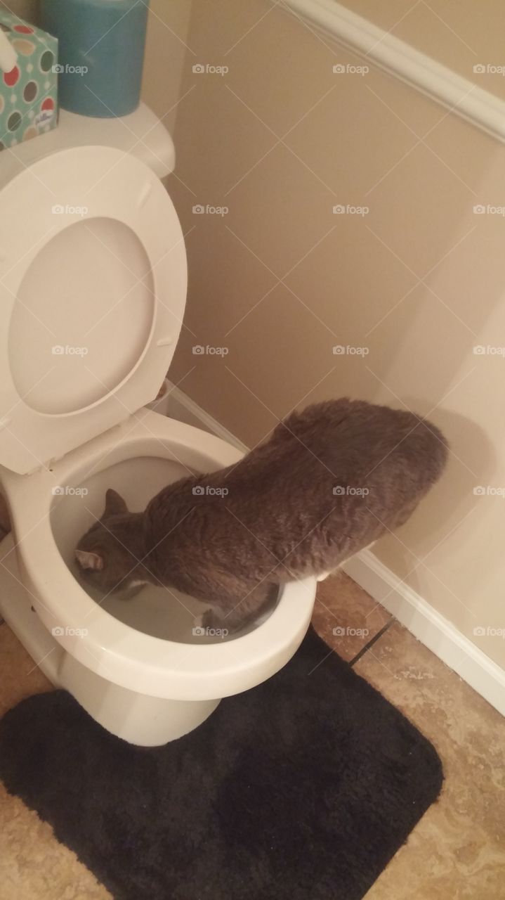 Bathroom, Bath, Bathtub, Washcloset, Soap