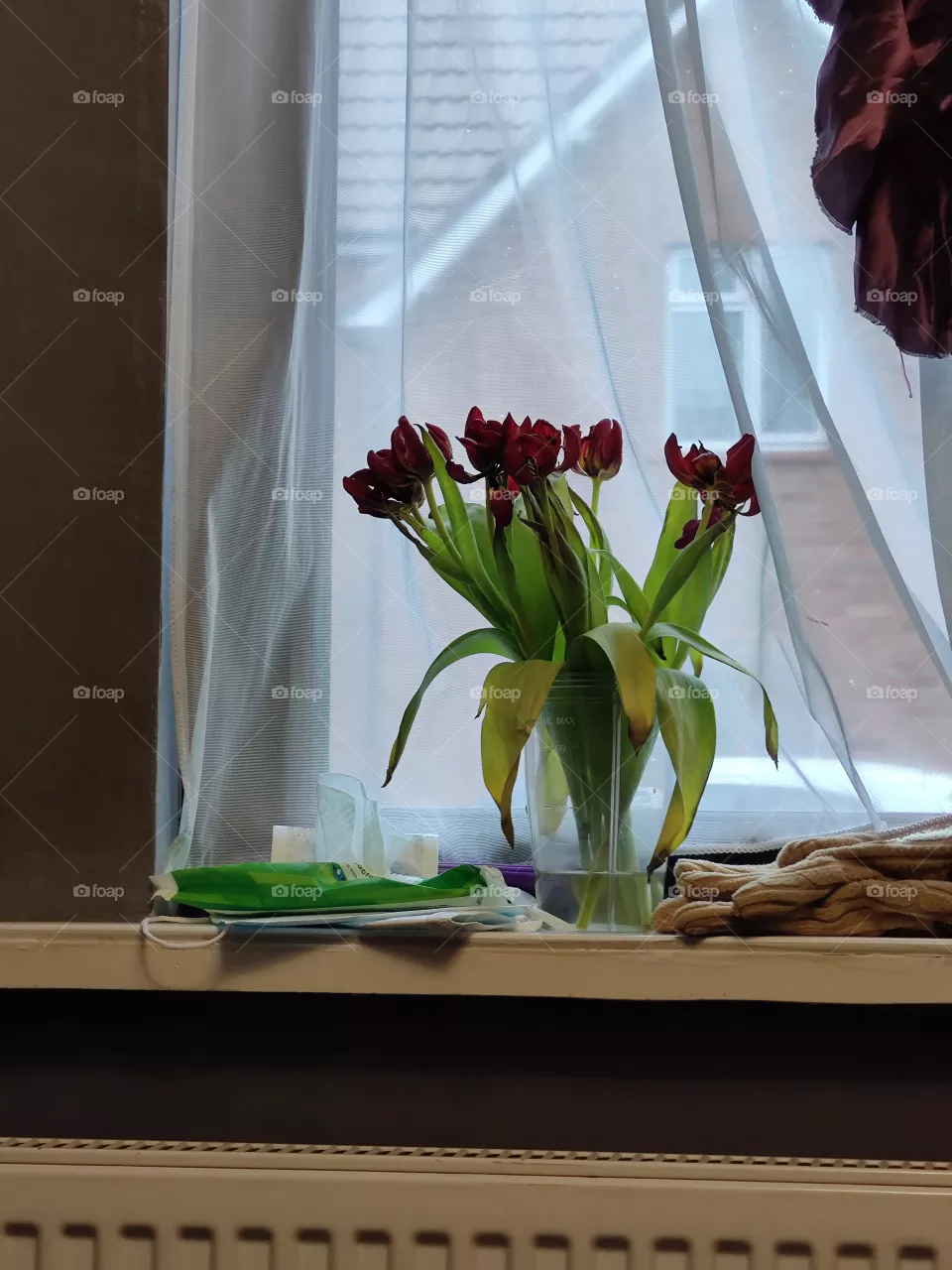 Detalle del interior de la sala con zoom de maceta de flores