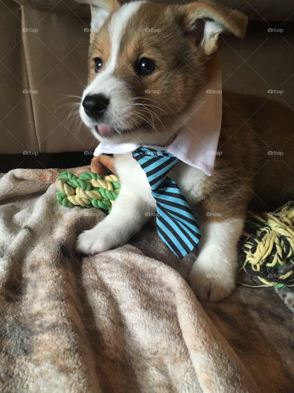 I am ready for my job!