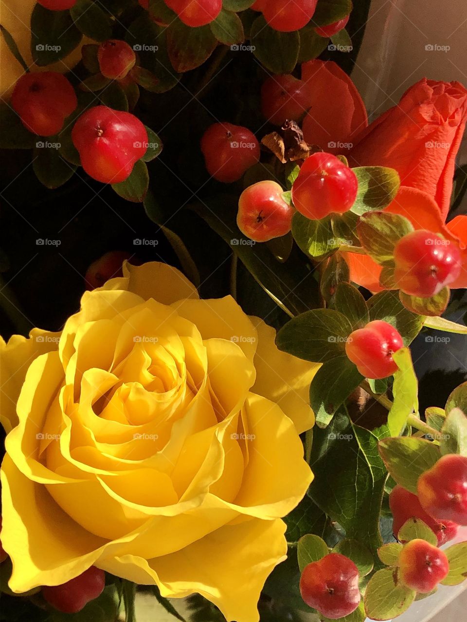 Yellow rose among red