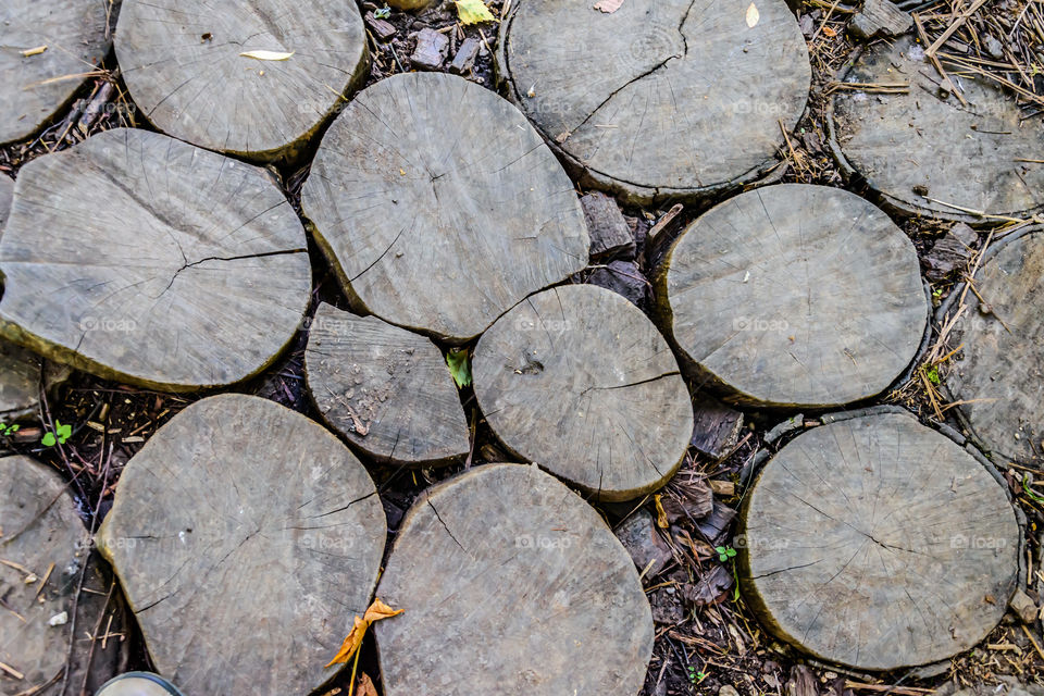 Wooden path