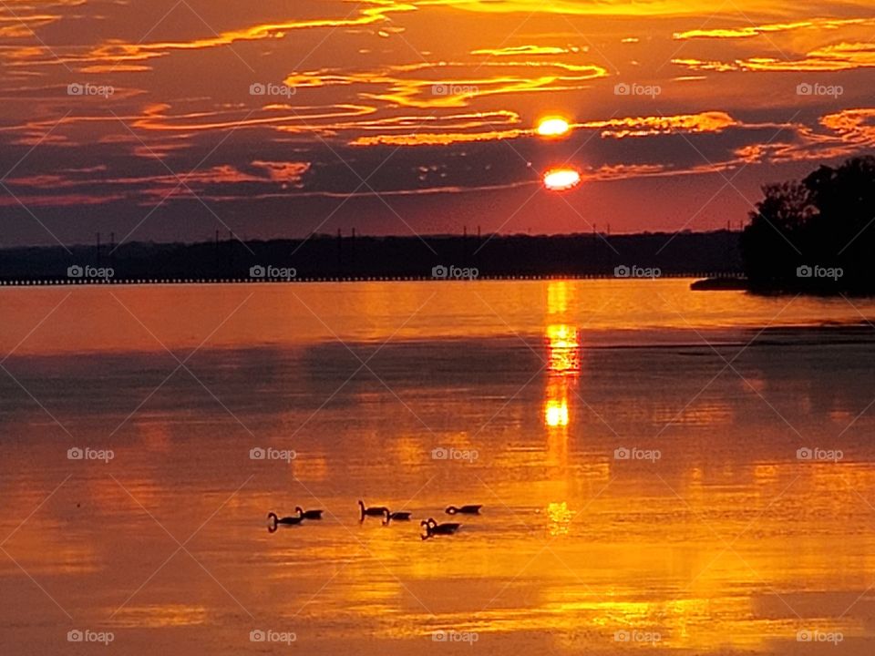 Ducks at Sunset