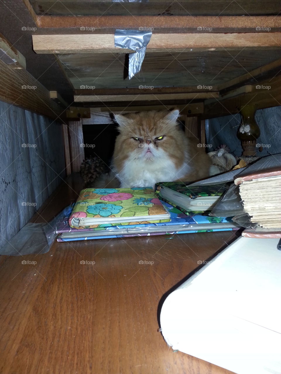 Tommy Jones hiding under coffee table