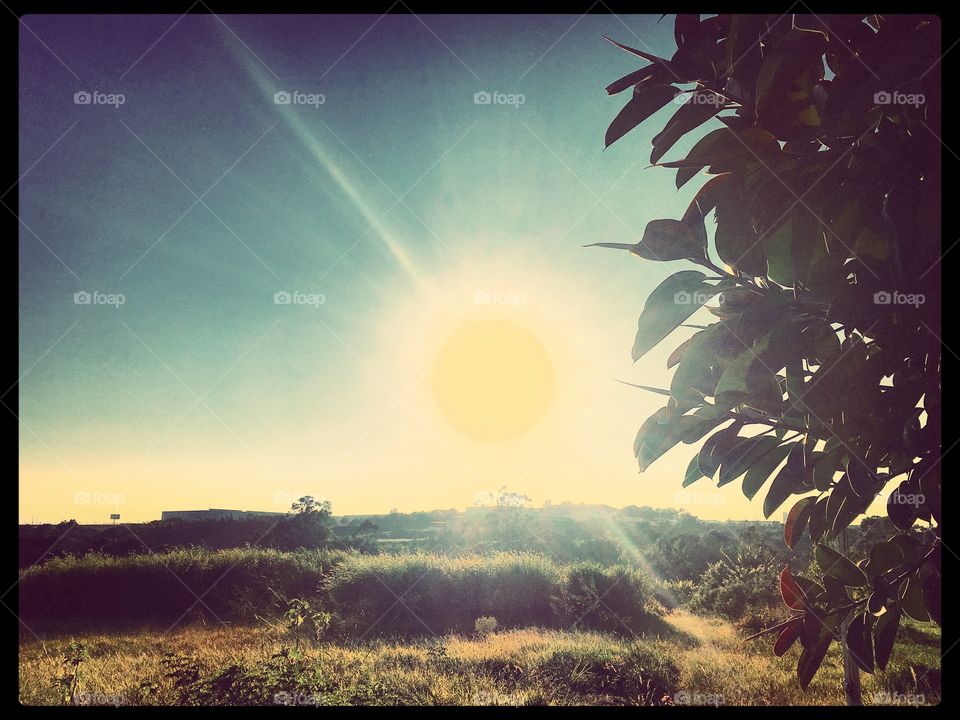 Um sol maravilhoso que brilha no verão do Brasil! 🇧🇷 / A wonderful sun shining in the summer of Brazil! 🇺🇸
