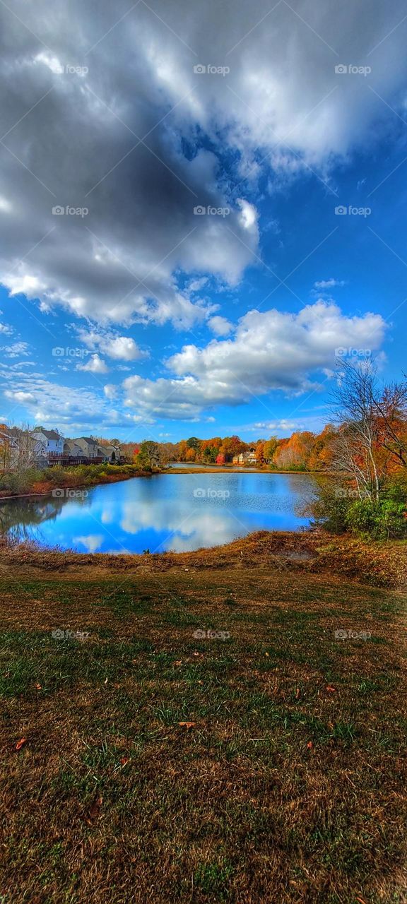 swimming hole