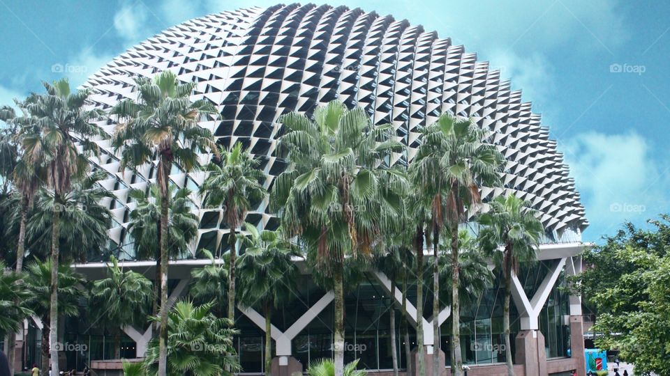 this unique building that looks like a spiky tropical fruit is actually the theater house in Singapore, which is called Esplanade.