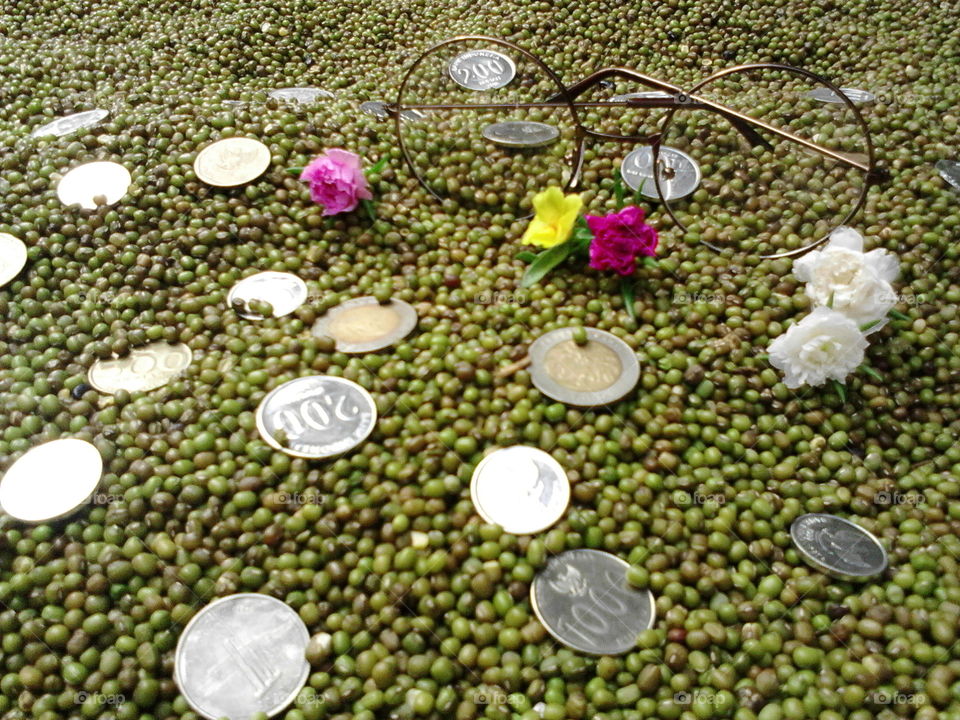 coins in green bean islands