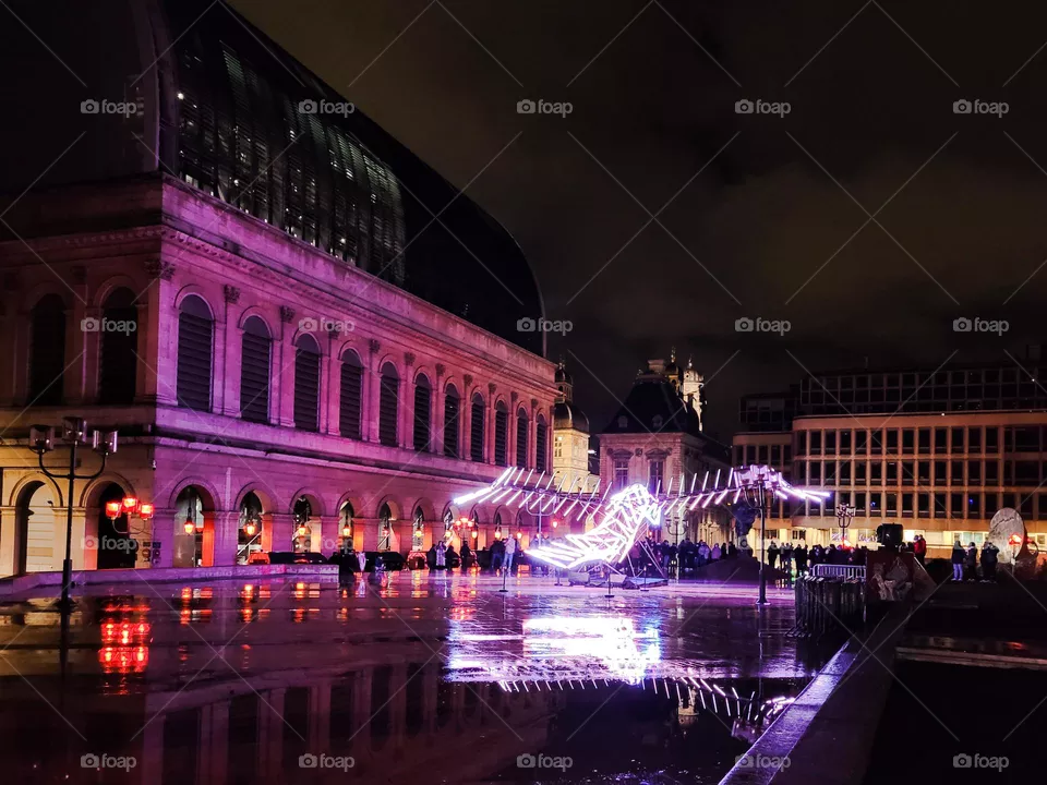Festival of lights, Lyon, France