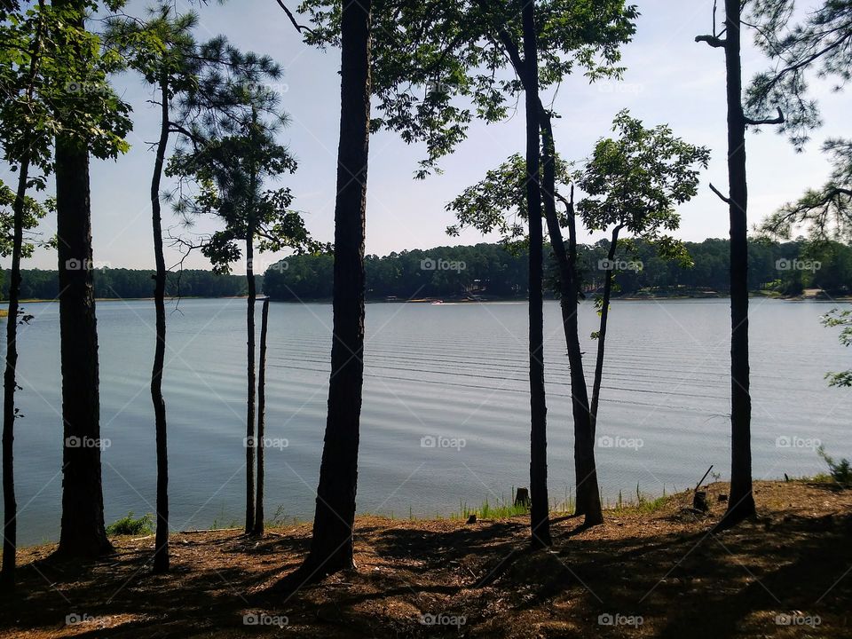 Lakeside   Scenic  View