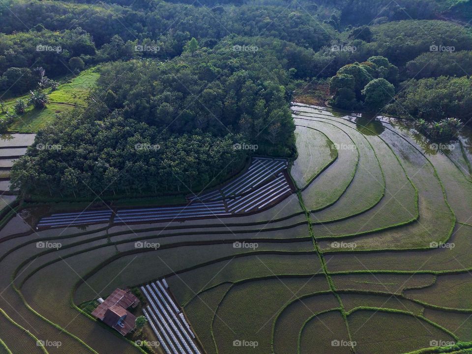 beauty morning sunrise at mountain
