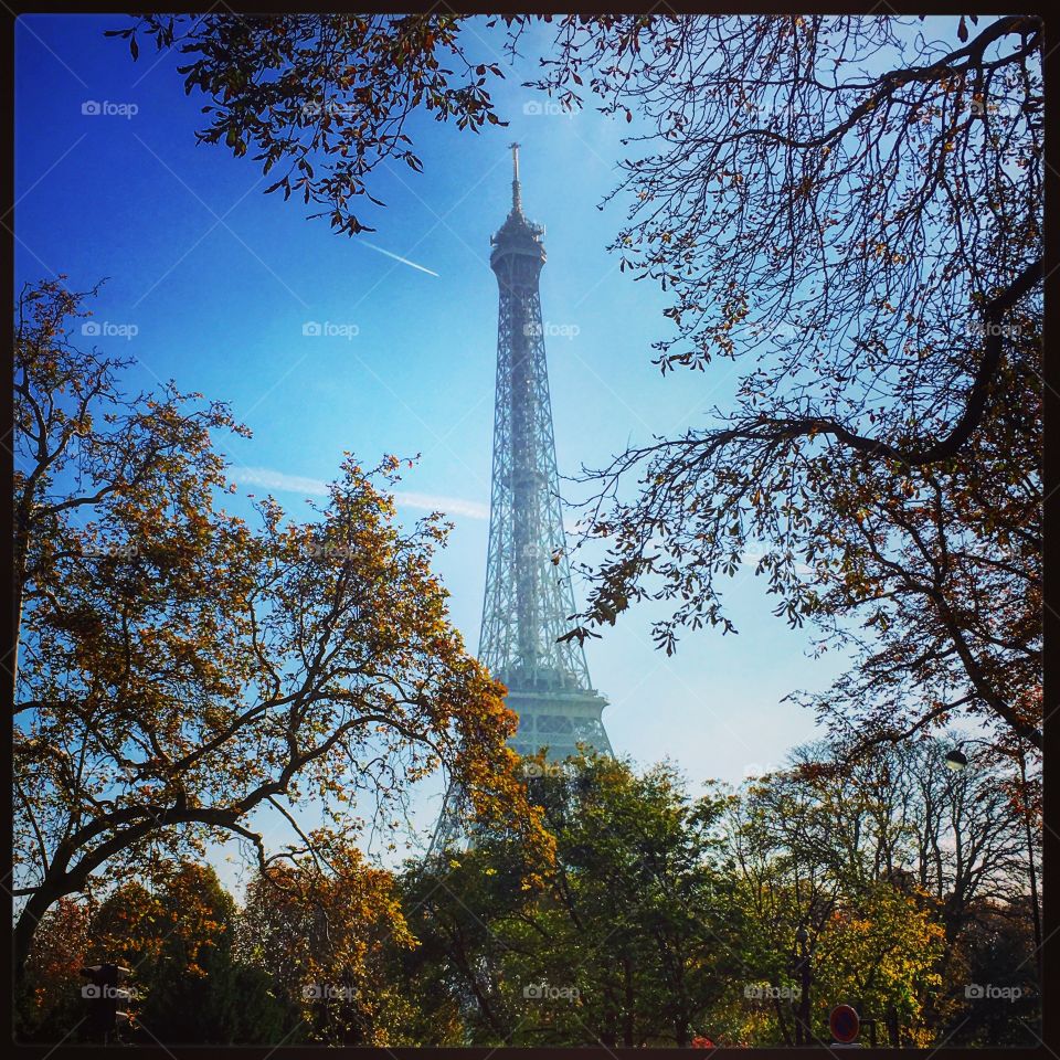 Eiffel Tower View, Paris