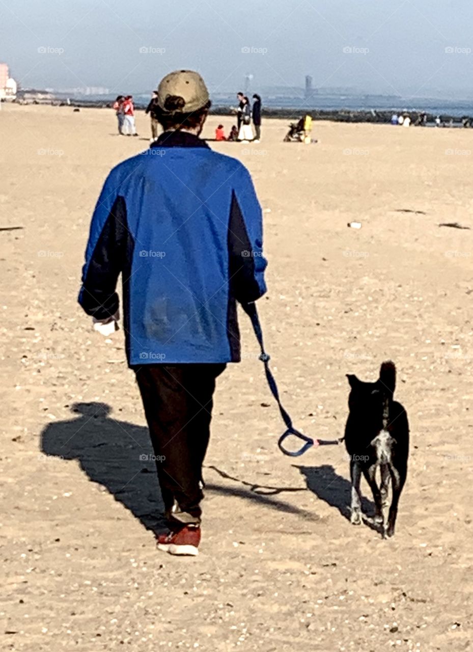 Spring Walk With Your Dog