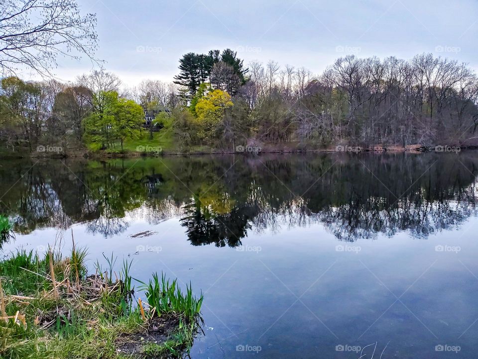 Reflection on a lake in the late afternoon