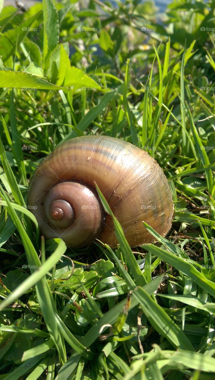 Spiraling in control