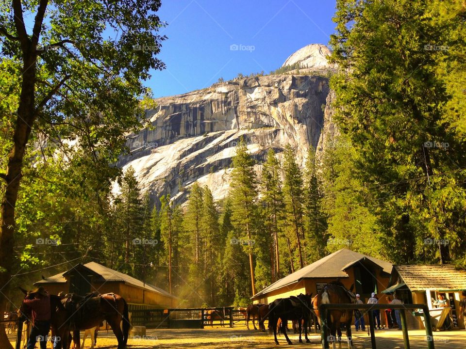 Yosemite national Park stables
