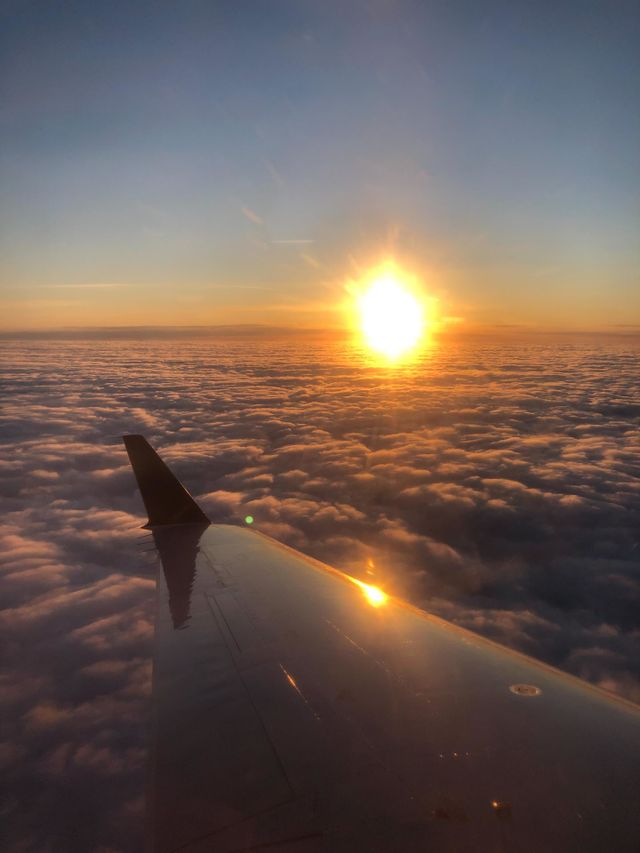Above it all